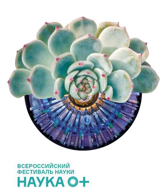 Болота — хранители древностей