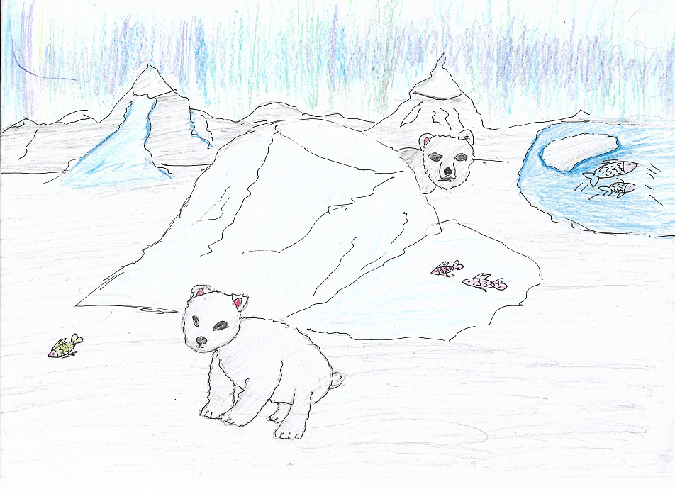 Белые медведи - жители Арктики
